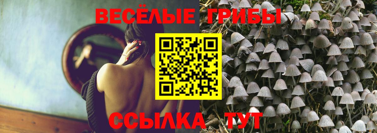 Нижнекамск  Галлюциногенные грибы мухоморы  Вход с VPN 